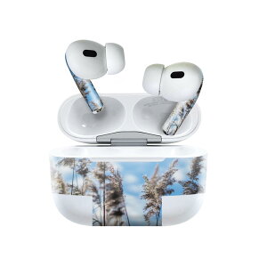 Air Pods Pro2 / Pro1 p fUCXLV[ airpods GA|bh apple Abv AirPods Pro 1 airpodsPro 2 Ή Cz Jo[ fR[V ANZT[ fRV[ 023406 ʐ^@iF
