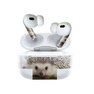 Air Pods Pro2 / Pro1 ��p �f�U�C���X�L���V�[�� airpods �G�A�|�b�h apple �A�b�v�� AirPods Pro ��1���� airpodsPro ��2���� �Ή� �C���z�� �J�o�[ �f�R���[�V���� �A�N�Z�T���[ �f�R�V�[�� 023434 �n���l�Y�~