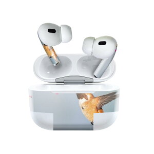 Air Pods Pro2 / Pro1 p fUCXLV[ airpods GA|bh apple Abv AirPods Pro 1 airpodsPro 2 Ή Cz Jo[ fR[V ANZT[ fRV[ 023447 @ԁ@