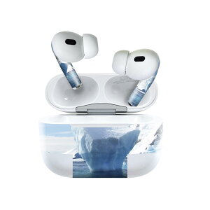 Air Pods Pro2 / Pro1 ��p �f�U�C���X�L���V�[�� airpods �G�A�|�b�h apple �A�b�v�� AirPods Pro ��1���� airpodsPro ��2���� �Ή� �C���z�� �J�o�[ �f�R���[�V���� �A�N�Z�T���[ �f�R�V�[�� 023454 �X�R�@�C�@