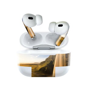 Air Pods Pro2 / Pro1 ��p �f�U�C���X�L���V�[�� airpods �G�A�|�b�h apple �A�b�v�� AirPods Pro ��1���� airpodsPro ��2���� �Ή� �C���z�� �J�o�[ �f�R���[�V���� �A�N�Z�T���[ �f�R�V�[�� 023458 �i�F�@��@