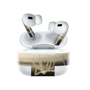 Air Pods Pro2 / Pro1 ��p �f�U�C���X�L���V�[�� airpods �G�A�|�b�h apple �A�b�v�� AirPods Pro ��1���� airpodsPro ��2���� �Ή� �C���z�� �J�o�[ �f�R���[�V���� �A�N�Z�T���[ �f�R�V�[�� 023462 �w偁@����