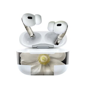 Air Pods Pro2 / Pro1 ��p �f�U�C���X�L���V�[�� airpods �G�A�|�b�h apple �A�b�v�� AirPods Pro ��1���� airpodsPro ��2���� �Ή� �C���z�� �J�o�[ �f�R���[�V���� �A�N�Z�T���[ �f�R�V�[�� 023470 �ԁ@�t����