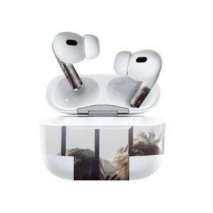 Air Pods Pro2 / Pro1 ��p �f�U�C���X�L���V�[�� airpods �G�A�|�b�h apple �A�b�v�� AirPods Pro ��1���� airpodsPro ��2���� �Ή� �C���z�� �J�o�[ �f�R���[�V���� �A�N�Z�T���[ �f�R�V�[�� 023481 ���ǂ��@��