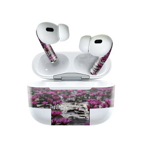 Air Pods Pro2 / Pro1 ��p �f�U�C���X�L���V�[�� airpods �G�A�|�b�h apple �A�b�v�� AirPods Pro ��1���� airpodsPro ��2���� �Ή� �C���z�� �J�o�[ �f�R���[�V���� �A�N�Z�T���[ �f�R�V�[�� 023484 �ԁ@�t����