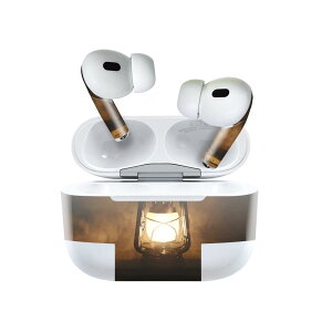 Air Pods Pro2 / Pro1 ��p �f�U�C���X�L���V�[�� airpods �G�A�|�b�h apple �A�b�v�� AirPods Pro ��1���� airpodsPro ��2���� �Ή� �C���z�� �J�o�[ �f�R���[�V���� �A�N�Z�T���[ �f�R�V�[�� 023487 �����v�@��