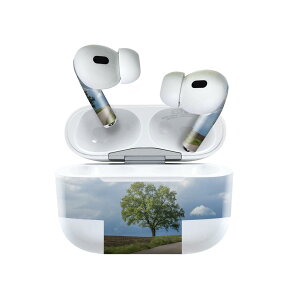 Air Pods Pro2 / Pro1 ��p �f�U�C���X�L���V�[�� airpods �G�A�|�b�h apple �A�b�v�� AirPods Pro ��1���� airpodsPro ��2���� �Ή� �C���z�� �J�o�[ �f�R���[�V���� �A�N�Z�T���[ �f�R�V�[�� 023492 �i�F�@���R