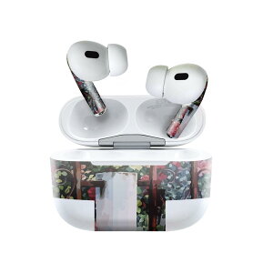 Air Pods Pro2 / Pro1 ��p �f�U�C���X�L���V�[�� airpods �G�A�|�b�h apple �A�b�v�� AirPods Pro ��1���� airpodsPro ��2���� �Ή� �C���z�� �J�o�[ �f�R���[�V���� �A�N�Z�T���[ �f�R�V�[�� 023495 �ԁ@�t����