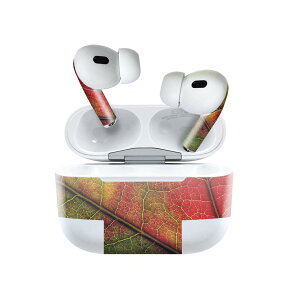 Air Pods Pro2 / Pro1 p fUCXLV[ airpods GA|bh apple Abv AirPods Pro 1 airpodsPro 2 Ή Cz Jo[ fR[V ANZT[ fRV[ 023501 tρ@A