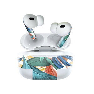 Air Pods Pro2 / Pro1 ��p �f�U�C���X�L���V�[�� airpods �G�A�|�b�h apple �A�b�v�� AirPods Pro ��1���� airpodsPro ��2���� �Ή� �C���z�� �J�o�[ �f�R���[�V���� �A�N�Z�T���[ �f�R�V�[�� 023505 �t���ρ@�A