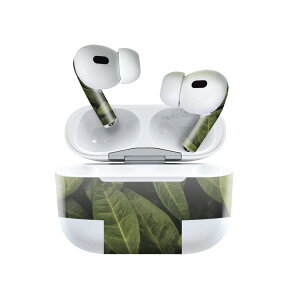 Air Pods Pro2 / Pro1 p fUCXLV[ airpods GA|bh apple Abv AirPods Pro 1 airpodsPro 2 Ή Cz Jo[ fR[V ANZT[ fRV[ 023507 tρ@A