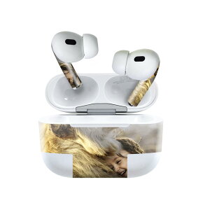 Air Pods Pro2 / Pro1 ��p �f�U�C���X�L���V�[�� airpods �G�A�|�b�h apple �A�b�v�� AirPods Pro ��1���� airpodsPro ��2���� �Ή� �C���z�� �J�o�[ �f�R���[�V���� �A�N�Z�T���[ �f�R�V�[�� 023527 ���C�I���@