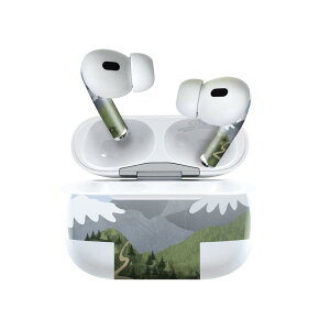 Air Pods Pro2 / Pro1 ��p �f�U�C���X�L���V�[�� airpods �G�A�|�b�h apple �A�b�v�� AirPods Pro ��1���� airpodsPro ��2���� �Ή� �C���z�� �J�o�[ �f�R���[�V���� �A�N�Z�T���[ �f�R�V�[�� 023589 �R�@�C���X