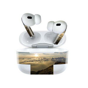 Air Pods Pro2 / Pro1 ��p �f�U�C���X�L���V�[�� airpods �G�A�|�b�h apple �A�b�v�� AirPods Pro ��1���� airpodsPro ��2���� �Ή� �C���z�� �J�o�[ �f�R���[�V���� �A�N�Z�T���[ �f�R�V�[�� 023593 �i�F�@�ʐ^
