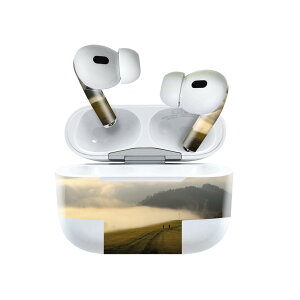 Air Pods Pro2 / Pro1 ��p �f�U�C���X�L���V�[�� airpods �G�A�|�b�h apple �A�b�v�� AirPods Pro ��1���� airpodsPro ��2���� �Ή� �C���z�� �J�o�[ �f�R���[�V���� �A�N�Z�T���[ �f�R�V�[�� 023596 �i�F�@�R�@
