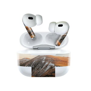 Air Pods Pro2 / Pro1 ��p �f�U�C���X�L���V�[�� airpods �G�A�|�b�h apple �A�b�v�� AirPods Pro ��1���� airpodsPro ��2���� �Ή� �C���z�� �J�o�[ �f�R���[�V���� �A�N�Z�T���[ �f�R�V�[�� 023597 �i�F�@�ʐ^