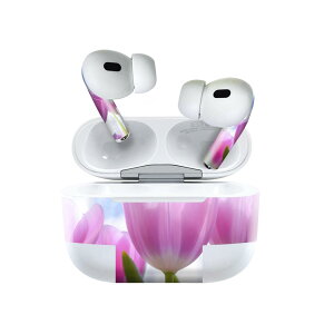 Air Pods Pro2 / Pro1 p fUCXLV[ airpods GA|bh apple Abv AirPods Pro 1 airpodsPro 2 Ή Cz Jo[ fR[V ANZT[ fRV[ 023603 ԁ@t