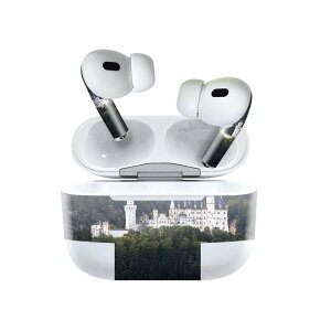 Air Pods Pro2 / Pro1 ��p �f�U�C���X�L���V�[�� airpods �G�A�|�b�h apple �A�b�v�� AirPods Pro ��1���� airpodsPro ��2���� �Ή� �C���z�� �J�o�[ �f�R���[�V���� �A�N�Z�T���[ �f�R�V�[�� 023612 �����@�R�@