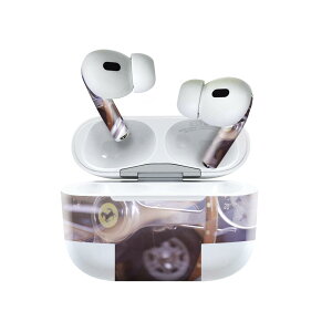 Air Pods Pro2 / Pro1 p fUCXLV[ airpods GA|bh apple Abv AirPods Pro 1 airpodsPro 2 Ή Cz Jo[ fR[V ANZT[ fRV[ 023622 ԁ@NV