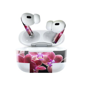 Air Pods Pro2 / Pro1 p fUCXLV[ airpods GA|bh apple Abv AirPods Pro 1 airpodsPro 2 Ή Cz Jo[ fR[V ANZT[ fRV[ 023629 ԁ@t