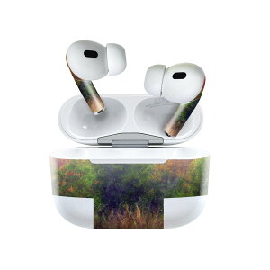Air Pods Pro2 / Pro1 p fUCXLV[ airpods GA|bh apple Abv AirPods Pro 1 airpodsPro 2 Ή Cz Jo[ fR[V ANZT[ fRV[ 023639 G@X