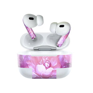 Air Pods Pro2 / Pro1 p fUCXLV[ airpods GA|bh apple Abv AirPods Pro 1 airpodsPro 2 Ή Cz Jo[ fR[V ANZT[ fRV[ 023641 ԁ@t