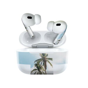 Air Pods Pro2 / Pro1 ��p �f�U�C���X�L���V�[�� airpods �G�A�|�b�h apple �A�b�v�� AirPods Pro ��1���� airpodsPro ��2���� �Ή� �C���z�� �J�o�[ �f�R���[�V���� �A�N�Z�T���[ �f�R�V�[�� 023646 ���V�̖؁@