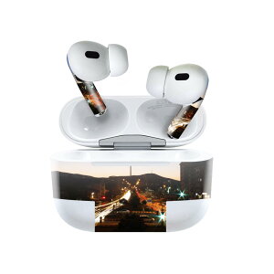 Air Pods Pro2 / Pro1 ��p �f�U�C���X�L���V�[�� airpods �G�A�|�b�h apple �A�b�v�� AirPods Pro ��1���� airpodsPro ��2���� �Ή� �C���z�� �J�o�[ �f�R���[�V���� �A�N�Z�T���[ �f�R�V�[�� 023649 ���H�@�ʐ^
