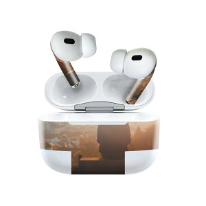 Air Pods Pro2 / Pro1 ��p �f�U�C���X�L���V�[�� airpods �G�A�|�b�h apple �A�b�v�� AirPods Pro ��1���� airpodsPro ��2���� �Ή� �C���z�� �J�o�[ �f�R���[�V���� �A�N�Z�T���[ �f�R�V�[�� 023671 �l���@�ʐ^