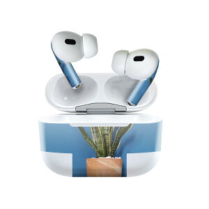 Air Pods Pro2 / Pro1 ��p �f�U�C���X�L���V�[�� airpods �G�A�|�b�h apple �A�b�v�� AirPods Pro ��1���� airpodsPro ��2���� �Ή� �C���z�� �J�o�[ �f�R���[�V���� �A�N�Z�T���[ �f�R�V�[�� 023685 �A���@�A��