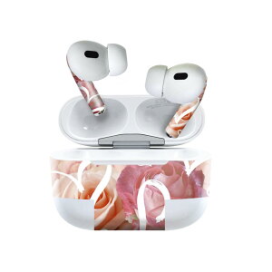 Air Pods Pro2 / Pro1 ��p �f�U�C���X�L���V�[�� airpods �G�A�|�b�h apple �A�b�v�� AirPods Pro ��1���� airpodsPro ��2���� �Ή� �C���z�� �J�o�[ �f�R���[�V���� �A�N�Z�T���[ �f�R�V�[�� 023695 �ԁ@�t����