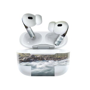 Air Pods Pro2 / Pro1 ��p �f�U�C���X�L���V�[�� airpods �G�A�|�b�h apple �A�b�v�� AirPods Pro ��1���� airpodsPro ��2���� �Ή� �C���z�� �J�o�[ �f�R���[�V���� �A�N�Z�T���[ �f�R�V�[�� 023722 ��@���R�@