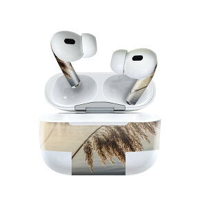 Air Pods Pro2 / Pro1 ��p �f�U�C���X�L���V�[�� airpods �G�A�|�b�h apple �A�b�v�� AirPods Pro ��1���� airpodsPro ��2���� �Ή� �C���z�� �J�o�[ �f�R���[�V���� �A�N�Z�T���[ �f�R�V�[�� 023723 �p���p�X�O