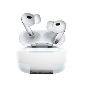 Air Pods Pro2 / Pro1 p fUCXLV[ airpods GA|bh apple Abv AirPods Pro 1 airpodsPro 2 Ή Cz Jo[ fR[V ANZT[ fRV[ 023729 ԁ@H@