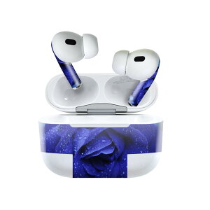 Air Pods Pro2 / Pro1 p fUCXLV[ airpods GA|bh apple Abv AirPods Pro 1 airpodsPro 2 Ή Cz Jo[ fR[V ANZT[ fRV[ 023736 ԁ@t
