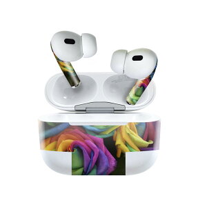 Air Pods Pro2 / Pro1 p fUCXLV[ airpods GA|bh apple Abv AirPods Pro 1 airpodsPro 2 Ή Cz Jo[ fR[V ANZT[ fRV[ 023739 ԁ@t