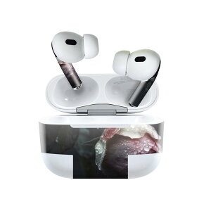 Air Pods Pro2 / Pro1 p fUCXLV[ airpods GA|bh apple Abv AirPods Pro 1 airpodsPro 2 Ή Cz Jo[ fR[V ANZT[ fRV[ 023741 ԁ@t