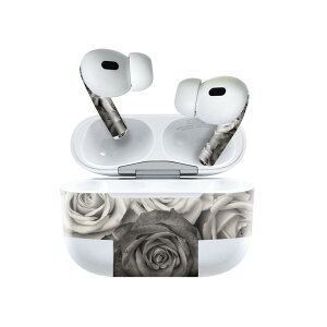Air Pods Pro2 / Pro1 p fUCXLV[ airpods GA|bh apple Abv AirPods Pro 1 airpodsPro 2 Ή Cz Jo[ fR[V ANZT[ fRV[ 023744 ԁ@t