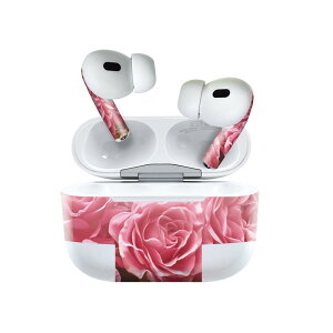 Air Pods Pro2 / Pro1 ��p �f�U�C���X�L���V�[�� airpods �G�A�|�b�h apple �A�b�v�� AirPods Pro ��1���� airpodsPro ��2���� �Ή� �C���z�� �J�o�[ �f�R���[�V���� �A�N�Z�T���[ �f�R�V�[�� 023747 �ԁ@�t����