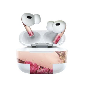 Air Pods Pro2 / Pro1 ��p �f�U�C���X�L���V�[�� airpods �G�A�|�b�h apple �A�b�v�� AirPods Pro ��1���� airpodsPro ��2���� �Ή� �C���z�� �J�o�[ �f�R���[�V���� �A�N�Z�T���[ �f�R�V�[�� 023748 �ԁ@�t����