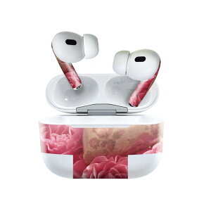 Air Pods Pro2 / Pro1 ��p �f�U�C���X�L���V�[�� airpods �G�A�|�b�h apple �A�b�v�� AirPods Pro ��1���� airpodsPro ��2���� �Ή� �C���z�� �J�o�[ �f�R���[�V���� �A�N�Z�T���[ �f�R�V�[�� 023749 �ԁ@�t����