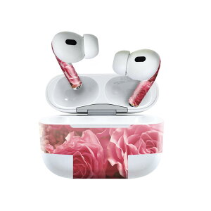 Air Pods Pro2 / Pro1 p fUCXLV[ airpods GA|bh apple Abv AirPods Pro 1 airpodsPro 2 Ή Cz Jo[ fR[V ANZT[ fRV[ 023750 ԁ@t