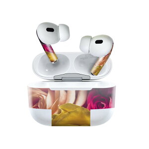 Air Pods Pro2 / Pro1 ��p �f�U�C���X�L���V�[�� airpods �G�A�|�b�h apple �A�b�v�� AirPods Pro ��1���� airpodsPro ��2���� �Ή� �C���z�� �J�o�[ �f�R���[�V���� �A�N�Z�T���[ �f�R�V�[�� 023751 �ԁ@�t����