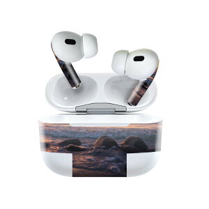 Air Pods Pro2 / Pro1 ��p �f�U�C���X�L���V�[�� airpods �G�A�|�b�h apple �A�b�v�� AirPods Pro ��1���� airpodsPro ��2���� �Ή� �C���z�� �J�o�[ �f�R���[�V���� �A�N�Z�T���[ �f�R�V�[�� 023770 �C�@�[���@