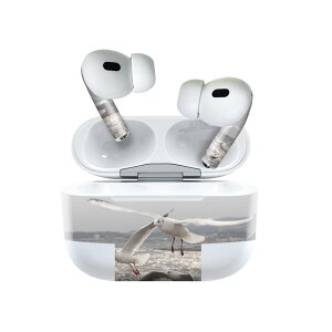 Air Pods Pro2 / Pro1 p fUCXLV[ airpods GA|bh apple Abv AirPods Pro 1 airpodsPro 2 Ή Cz Jo[ fR[V ANZT[ fRV[ 023776 J@
