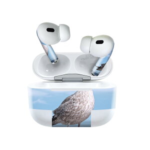 Air Pods Pro2 / Pro1 ��p �f�U�C���X�L���V�[�� airpods �G�A�|�b�h apple �A�b�v�� AirPods Pro ��1���� airpodsPro ��2���� �Ή� �C���z�� �J�o�[ �f�R���[�V���� �A�N�Z�T���[ �f�R�V�[�� 023778 ���@�J����