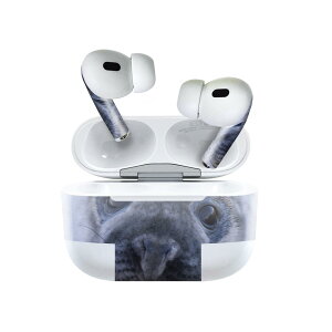 Air Pods Pro2 / Pro1 p fUCXLV[ airpods GA|bh apple Abv AirPods Pro 1 airpodsPro 2 Ή Cz Jo[ fR[V ANZT[ fRV[ 023781 炵@