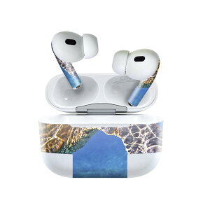 Air Pods Pro2 / Pro1 ��p �f�U�C���X�L���V�[�� airpods �G�A�|�b�h apple �A�b�v�� AirPods Pro ��1���� airpodsPro ��2���� �Ή� �C���z�� �J�o�[ �f�R���[�V���� �A�N�Z�T���[ �f�R�V�[�� 023782 �J���@�C�@