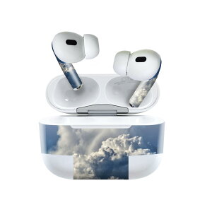Air Pods Pro2 / Pro1 ��p �f�U�C���X�L���V�[�� airpods �G�A�|�b�h apple �A�b�v�� AirPods Pro ��1���� airpodsPro ��2���� �Ή� �C���z�� �J�o�[ �f�R���[�V���� �A�N�Z�T���[ �f�R�V�[�� 023800 ��@�_�@��