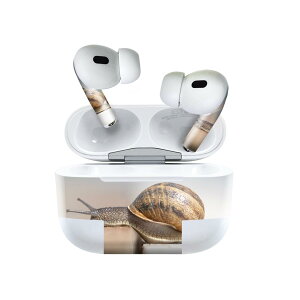 Air Pods Pro2 / Pro1 p fUCXLV[ airpods GA|bh apple Abv AirPods Pro 1 airpodsPro 2 Ή Cz Jo[ fR[V ANZT[ fRV[ 023810 ނ